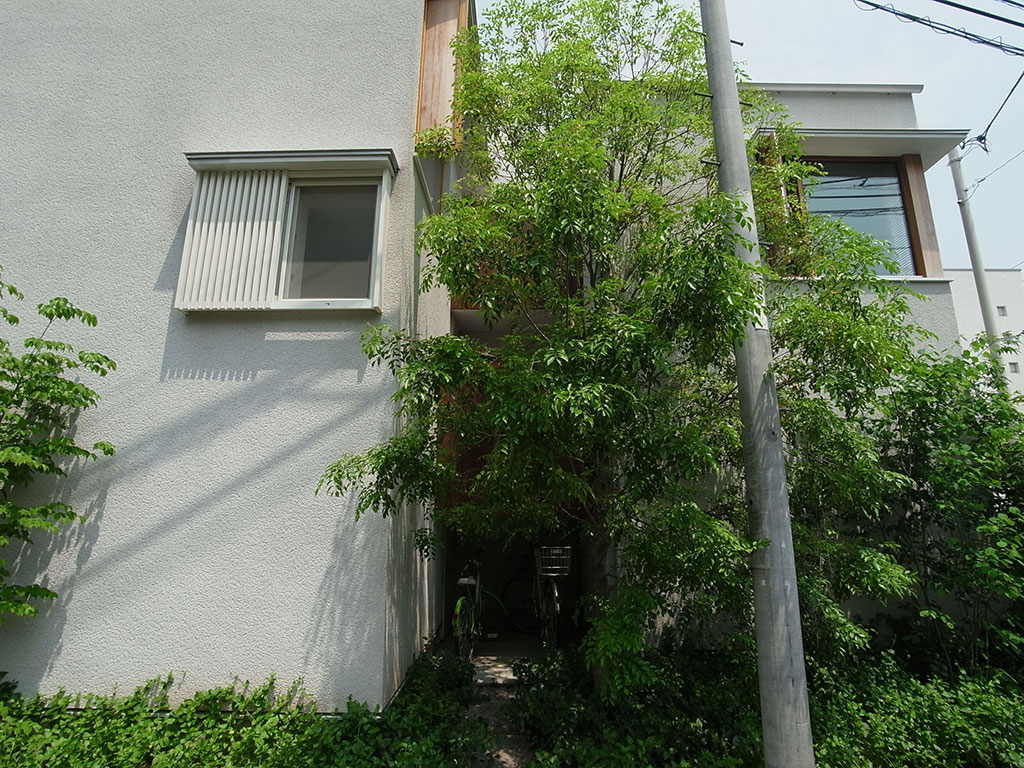 武蔵関の家 / House in Musashiseki